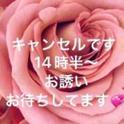 ヒメ日記 2025/11/12 11:17 投稿 葉月美優 プレジデントハウス