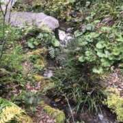 ヒメ日記 2025/11/16 16:19 投稿 葉月美優 プレジデントハウス