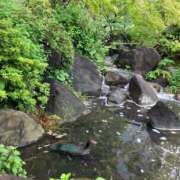 ヒメ日記 2025/11/24 07:55 投稿 葉月美優 プレジデントハウス