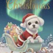 ヒメ日記 2025/12/24 06:42 投稿 葉月美優 プレジデントハウス