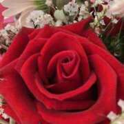 ヒメ日記 2026/01/29 18:08 投稿 葉月美優 プレジデントハウス