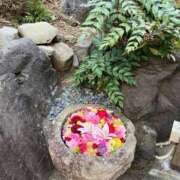 ヒメ日記 2026/02/05 07:22 投稿 葉月美優 プレジデントハウス