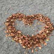 ヒメ日記 2026/02/18 09:42 投稿 葉月美優 プレジデントハウス