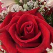 ヒメ日記 2026/04/08 06:51 投稿 葉月美優 プレジデントハウス