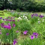 ヒメ日記 2026/06/24 07:27 投稿 葉月美優 プレジデントハウス
