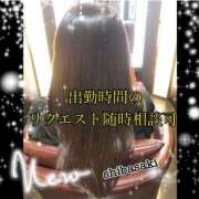 ヒメ日記 2024/12/15 08:40 投稿 柴崎 ななこ エテルナ京都