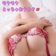 ヒメ日記 2025/02/22 09:10 投稿 柴崎 ななこ エテルナ京都