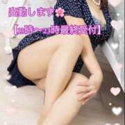 ヒメ日記 2025/04/05 09:31 投稿 柴崎 ななこ エテルナ京都