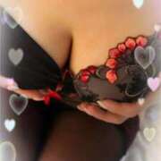 ヒメ日記 2025/05/15 09:00 投稿 柴崎 ななこ エテルナ京都