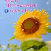 ヒメ日記 2025/06/27 13:10 投稿 柴崎 ななこ エテルナ京都