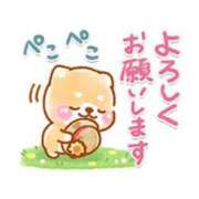 ヒメ日記 2025/07/23 12:32 投稿 柴崎 ななこ エテルナ京都