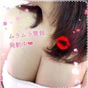 ヒメ日記 2025/09/12 10:41 投稿 柴崎 ななこ エテルナ京都