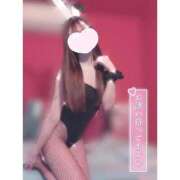 ヒメ日記 2025/03/06 12:05 投稿 ユア バニーコレクション新潟店