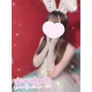 ヒメ日記 2025/03/18 14:34 投稿 ユア バニーコレクション新潟店