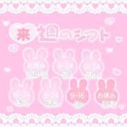 ヒメ日記 2025/03/28 12:04 投稿 ユア バニーコレクション新潟店