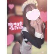 ヒメ日記 2025/04/29 11:03 投稿 ユア バニーコレクション新潟店