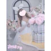 ヒメ日記 2025/05/22 12:03 投稿 ユア バニーコレクション新潟店