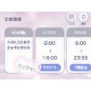 ヒメ日記 2025/06/04 16:20 投稿 ユア バニーコレクション新潟店