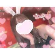 ヒメ日記 2025/06/24 10:02 投稿 ユア バニーコレクション新潟店