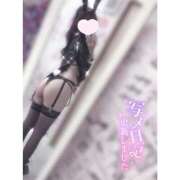 ヒメ日記 2025/07/31 23:21 投稿 ユア バニーコレクション新潟店