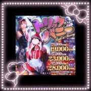 ヒメ日記 2025/10/07 09:43 投稿 ユア バニーコレクション新潟店