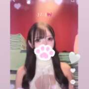 ヒメ日記 2026/03/16 17:09 投稿 ユア バニーコレクション新潟店