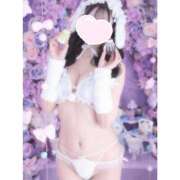 ヒメ日記 2026/03/31 17:01 投稿 ユア バニーコレクション新潟店