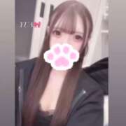 ヒメ日記 2026/04/26 15:22 投稿 ユア バニーコレクション新潟店