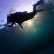 ヒメ日記 2025/08/12 08:35 投稿 くるみ 素人巨乳ちゃんこ「東千葉店」