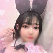 ヒメ日記 2025/04/20 14:16 投稿 ルイ バニーコレクション千葉栄町店