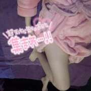 ヒメ日記 2025/04/25 14:15 投稿 ルイ バニーコレクション千葉栄町店