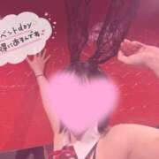 ヒメ日記 2025/04/26 07:01 投稿 ルイ バニーコレクション千葉栄町店