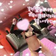 ヒメ日記 2025/05/30 07:00 投稿 ルイ バニーコレクション千葉栄町店