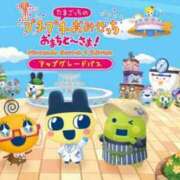 ヒメ日記 2025/06/04 12:01 投稿 ルイ バニーコレクション千葉栄町店