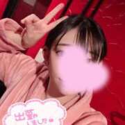 ヒメ日記 2025/06/27 07:02 投稿 ルイ バニーコレクション千葉栄町店