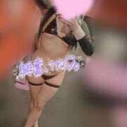 ヒメ日記 2025/06/29 14:00 投稿 ルイ バニーコレクション千葉栄町店