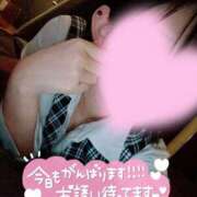 ヒメ日記 2025/07/20 07:01 投稿 ルイ バニーコレクション千葉栄町店