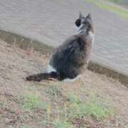 ヒメ日記 2025/07/28 02:07 投稿 ルイ バニーコレクション千葉栄町店