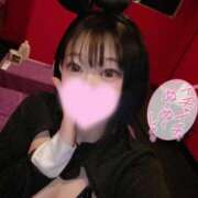 ヒメ日記 2025/09/07 10:02 投稿 ルイ バニーコレクション千葉栄町店