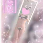 ヒメ日記 2025/11/04 20:01 投稿 ルイ バニーコレクション千葉栄町店