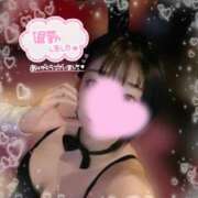 ヒメ日記 2025/11/22 01:45 投稿 ルイ バニーコレクション千葉栄町店