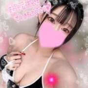 ヒメ日記 2025/11/23 14:09 投稿 ルイ バニーコレクション千葉栄町店