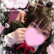 ヒメ日記 2025/11/27 07:01 投稿 ルイ バニーコレクション千葉栄町店