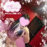 ヒメ日記 2025/12/05 07:01 投稿 ルイ バニーコレクション千葉栄町店