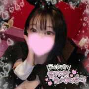 ヒメ日記 2025/12/14 14:45 投稿 ルイ バニーコレクション千葉栄町店