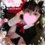 ヒメ日記 2025/12/15 23:30 投稿 ルイ バニーコレクション千葉栄町店