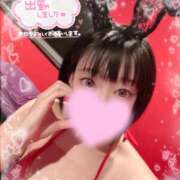 ヒメ日記 2025/12/17 07:01 投稿 ルイ バニーコレクション千葉栄町店