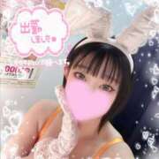 ヒメ日記 2025/12/18 07:00 投稿 ルイ バニーコレクション千葉栄町店