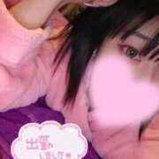 ヒメ日記 2026/01/17 07:00 投稿 ルイ バニーコレクション千葉栄町店