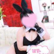 ヒメ日記 2026/01/18 00:19 投稿 ルイ バニーコレクション千葉栄町店